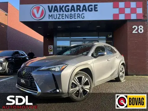 Used LEXUS UX Hybrid 2019 Ad 