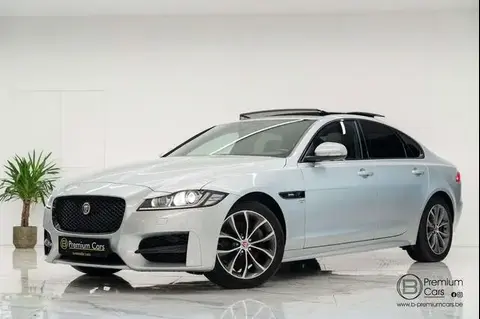 Annonce JAGUAR XF Diesel 2019 d'occasion 