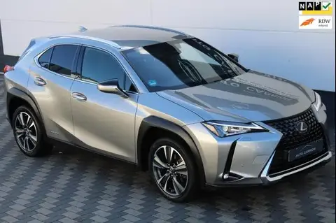 Annonce LEXUS UX Hybride 2020 d'occasion 