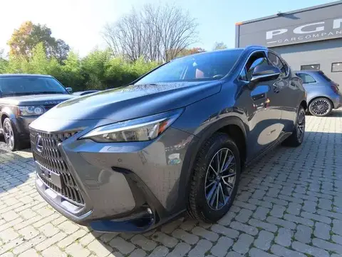 Annonce LEXUS NX Non renseigné 2022 d'occasion 