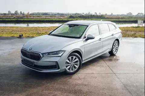 Annonce SKODA SUPERB Hybride 2024 d'occasion 