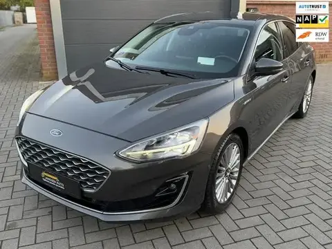 Annonce FORD FOCUS Essence 2019 d'occasion 