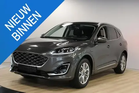 Annonce FORD KUGA Hybride 2021 d'occasion 