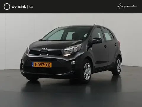 Used KIA PICANTO Petrol 2023 Ad 