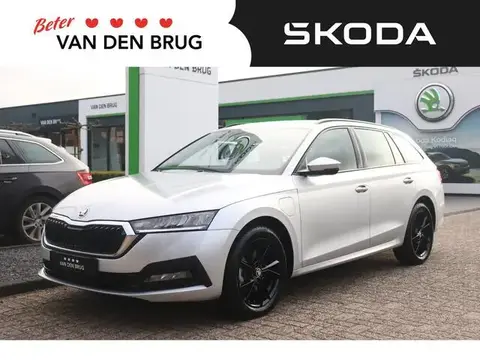 Annonce SKODA OCTAVIA Hybride 2022 d'occasion 