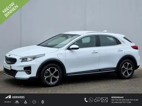 Used KIA XCEED Hybrid 2021 Ad 