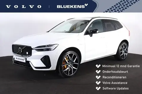 Annonce VOLVO XC60 Hybride 2023 d'occasion 