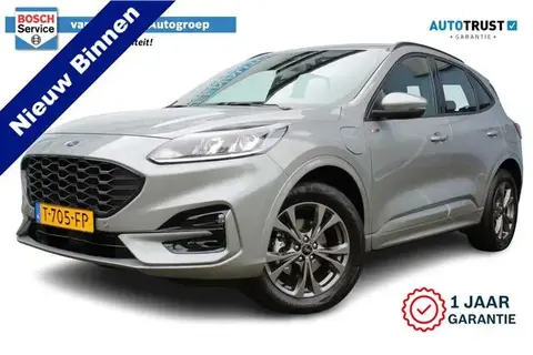 Annonce FORD KUGA Hybride 2023 d'occasion 