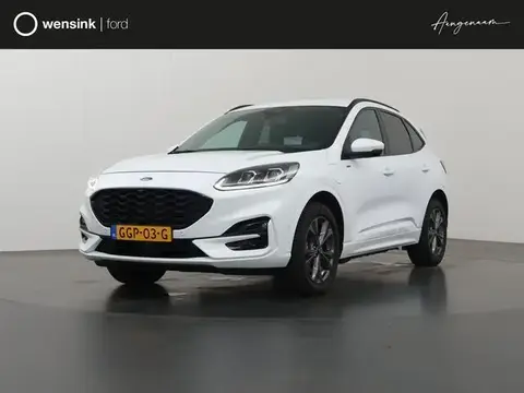 Used FORD KUGA Hybrid 2021 Ad 