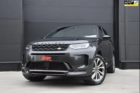 Used LAND ROVER DISCOVERY Hybrid 2021 Ad 