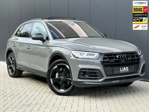 Used AUDI Q5 Hybrid 2021 Ad 