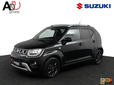 Annonce SUZUKI IGNIS Hybride 2021 d'occasion 