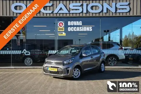 Used KIA PICANTO Petrol 2020 Ad 