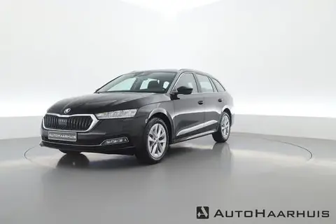 Used SKODA OCTAVIA Petrol 2024 Ad 