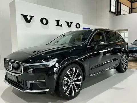 Used VOLVO XC60 Hybrid 2024 Ad 