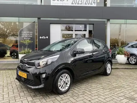 Used KIA PICANTO Petrol 2024 Ad 