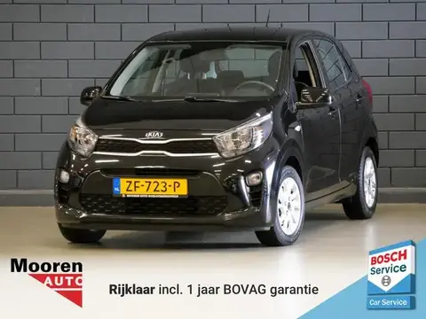 Annonce KIA PICANTO Essence 2019 d'occasion 