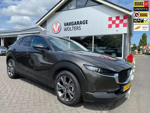 Used MAZDA CX-30 Petrol 2019 Ad 