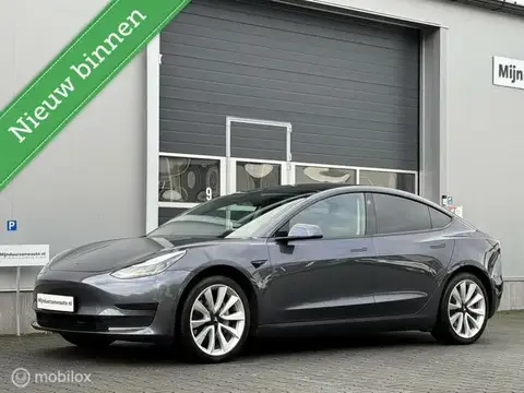 Used TESLA MODEL 3 Electric 2019 Ad 