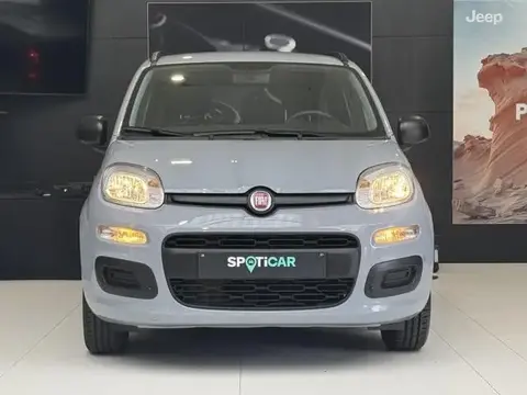 Annonce FIAT PANDA Essence 2018 d'occasion 