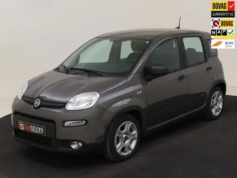 Used FIAT PANDA Hybrid 2024 Ad 