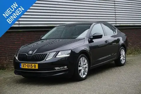 Used SKODA OCTAVIA Petrol 2019 Ad 