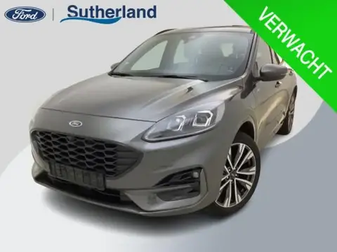 Used FORD KUGA Hybrid 2024 Ad 