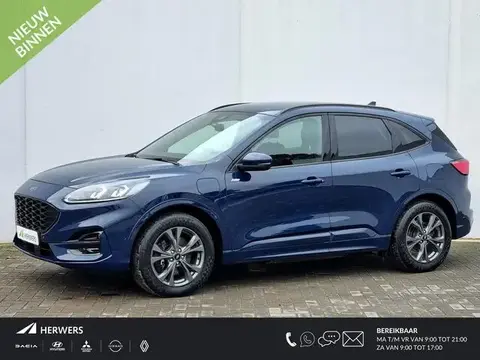 Used FORD KUGA Hybrid 2021 Ad 