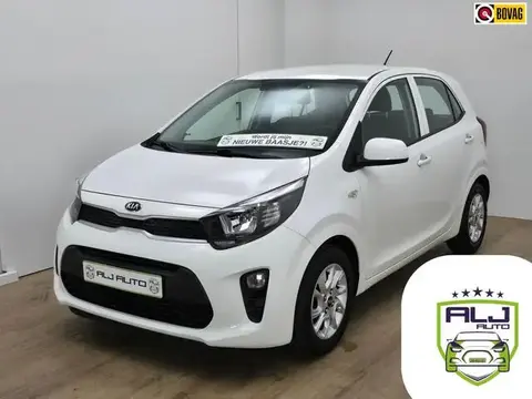 Used KIA PICANTO Petrol 2018 Ad 