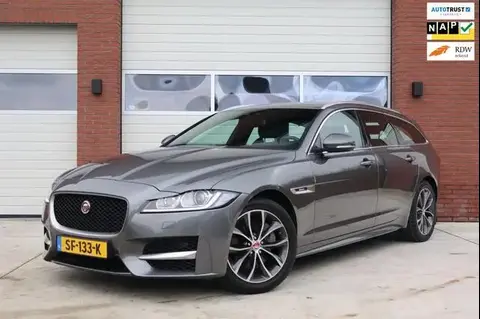 Used JAGUAR XF Diesel 2018 Ad 