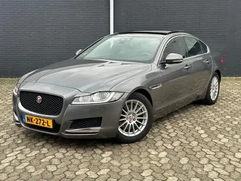 Annonce JAGUAR XF Diesel 2017 d'occasion 