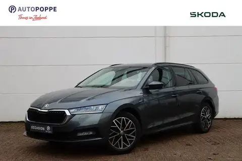 Used SKODA OCTAVIA Petrol 2021 Ad 