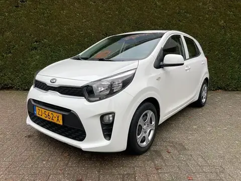 Annonce KIA PICANTO Essence 2019 d'occasion 