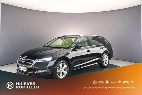 Used SKODA OCTAVIA Hybrid 2023 Ad 