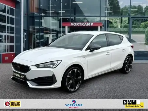 Used CUPRA LEON Hybrid 2022 Ad 