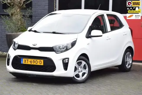 Annonce KIA PICANTO Essence 2019 d'occasion 