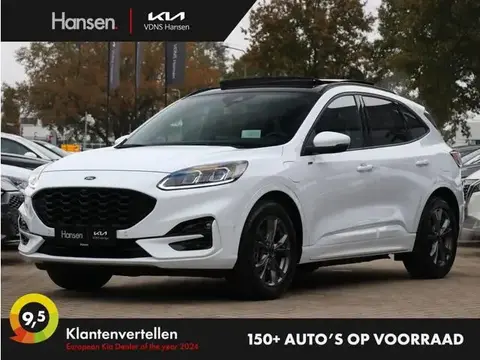 Used FORD KUGA Hybrid 2020 Ad 