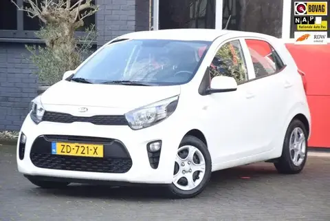 Used KIA PICANTO Petrol 2019 Ad 