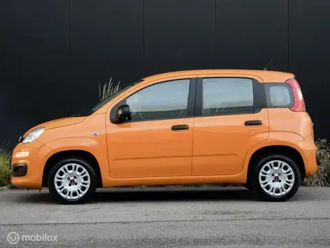 Annonce FIAT PANDA Essence 2019 d'occasion 