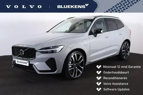 Used VOLVO XC60 Hybrid 2023 Ad 