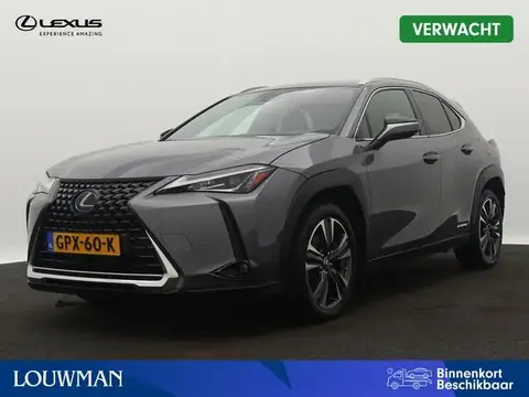 Used LEXUS UX Hybrid 2020 Ad 