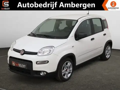 Used FIAT PANDA Petrol 2024 Ad 