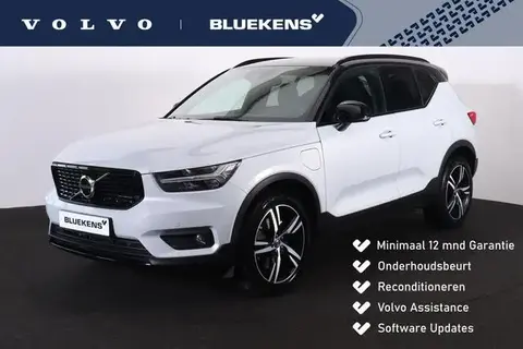 Used VOLVO XC40 Hybrid 2021 Ad 