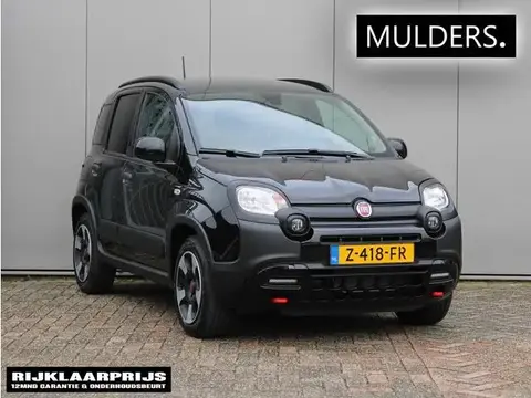 Annonce FIAT PANDA Hybride 2024 d'occasion 