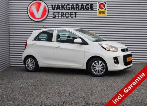 Annonce KIA PICANTO Essence 2016 d'occasion 