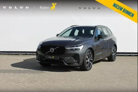 Used VOLVO XC60 Hybrid 2023 Ad 