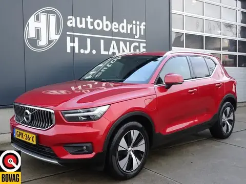 Used VOLVO XC40 Hybrid 2020 Ad 