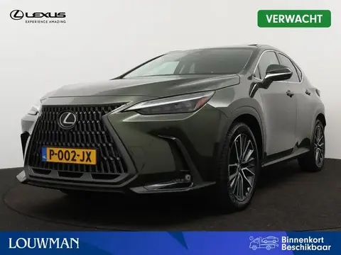 Used LEXUS NX Hybrid 2022 Ad 