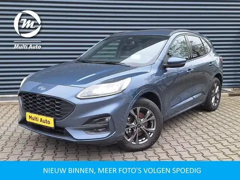 Used FORD KUGA Hybrid 2021 Ad 