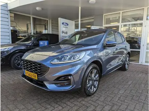 Annonce FORD KUGA Hybride 2022 d'occasion 